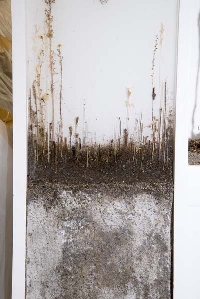 Paintings Details