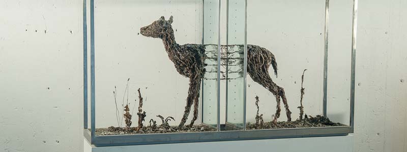 Sculpture Sectioned